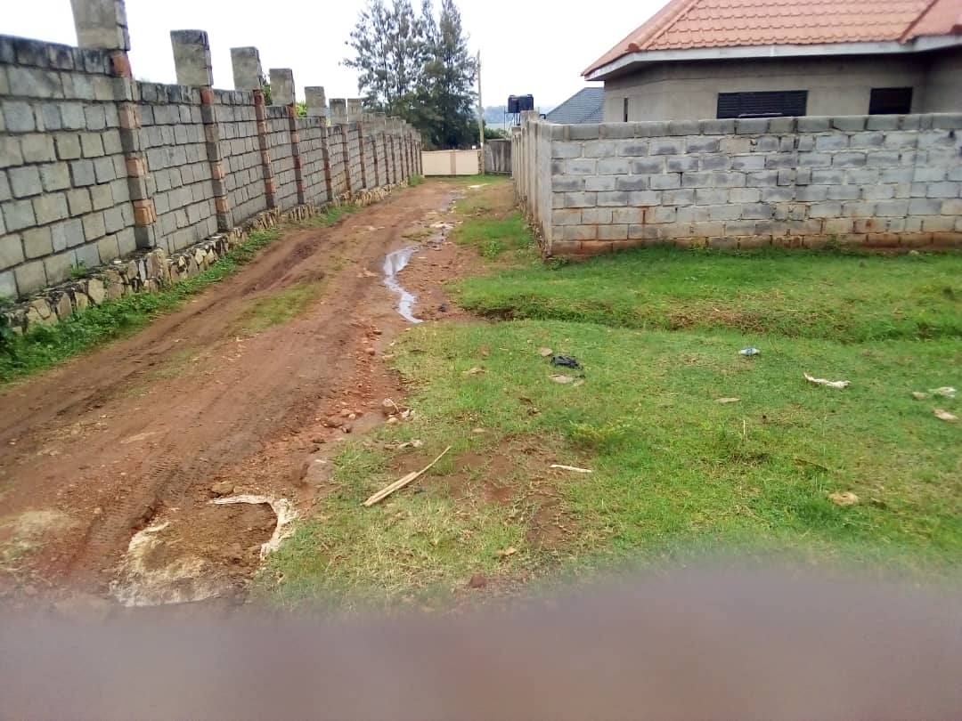 WhatsApp Image 2021-02-26 at 12.30.45 AM.jpeg